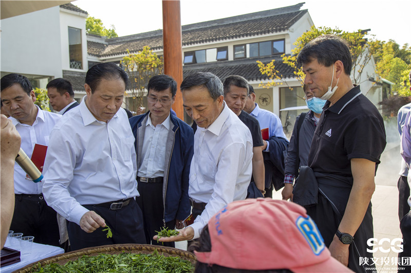 合力团了解农业扶贫炒茶项目